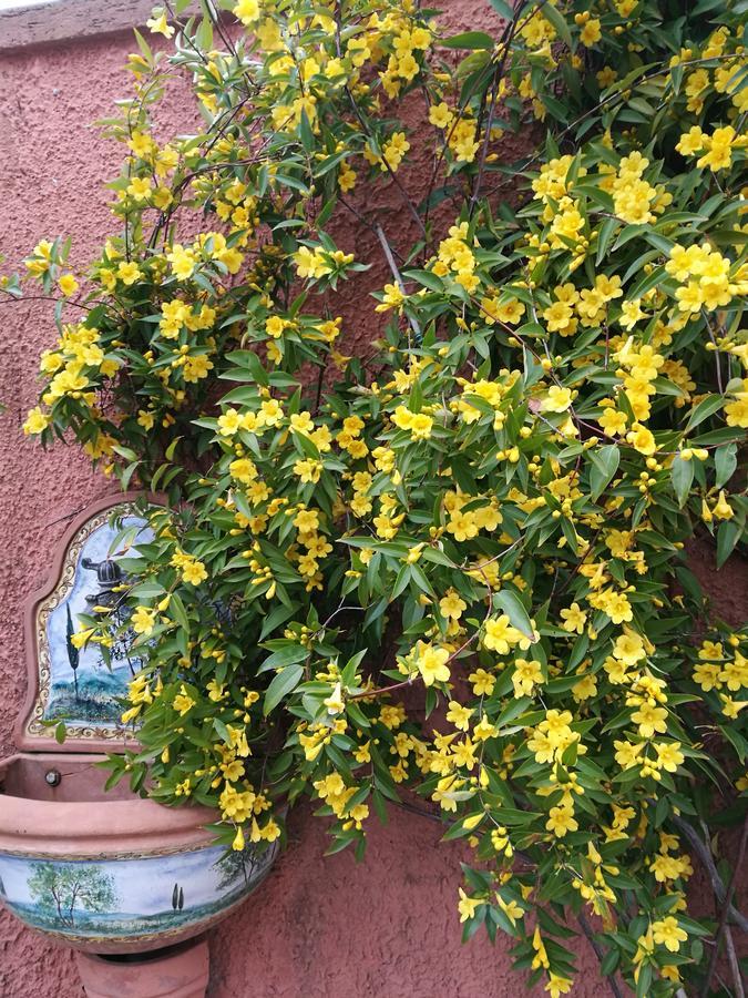 Giusy Bed And Breakfast Marina Di Carrara Ngoại thất bức ảnh