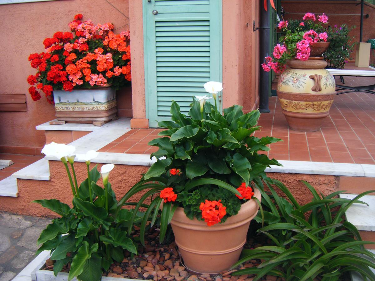 Giusy Bed And Breakfast Marina Di Carrara Ngoại thất bức ảnh